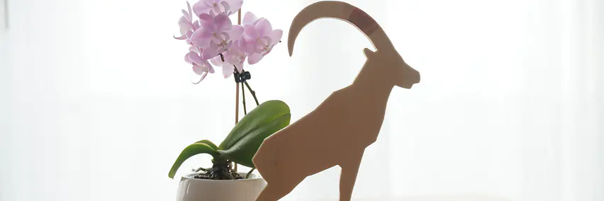 Warum Nachhaltigkeit kein Kostenfaktor ist – sondern ein Wettbewerbsvorteil