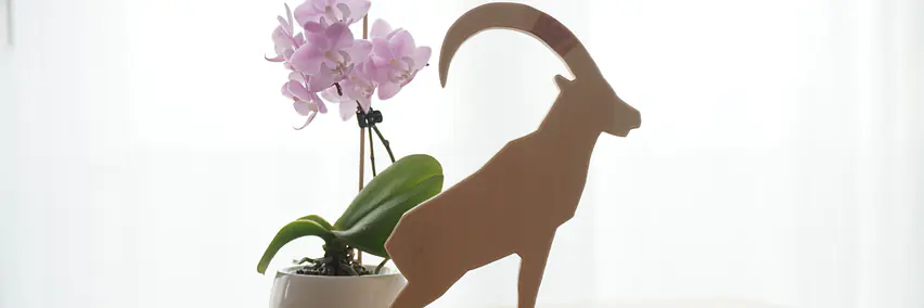 Warum Nachhaltigkeit kein Kostenfaktor ist – sondern ein Wettbewerbsvorteil