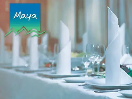 Maya - ökologische Reinigungsmittel