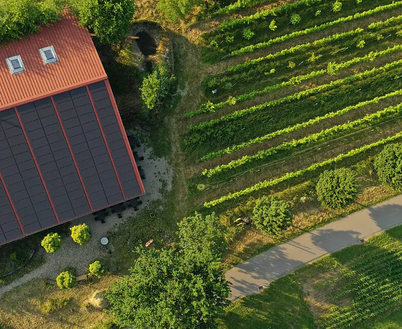 Hausparzelle - Kopie.jpg