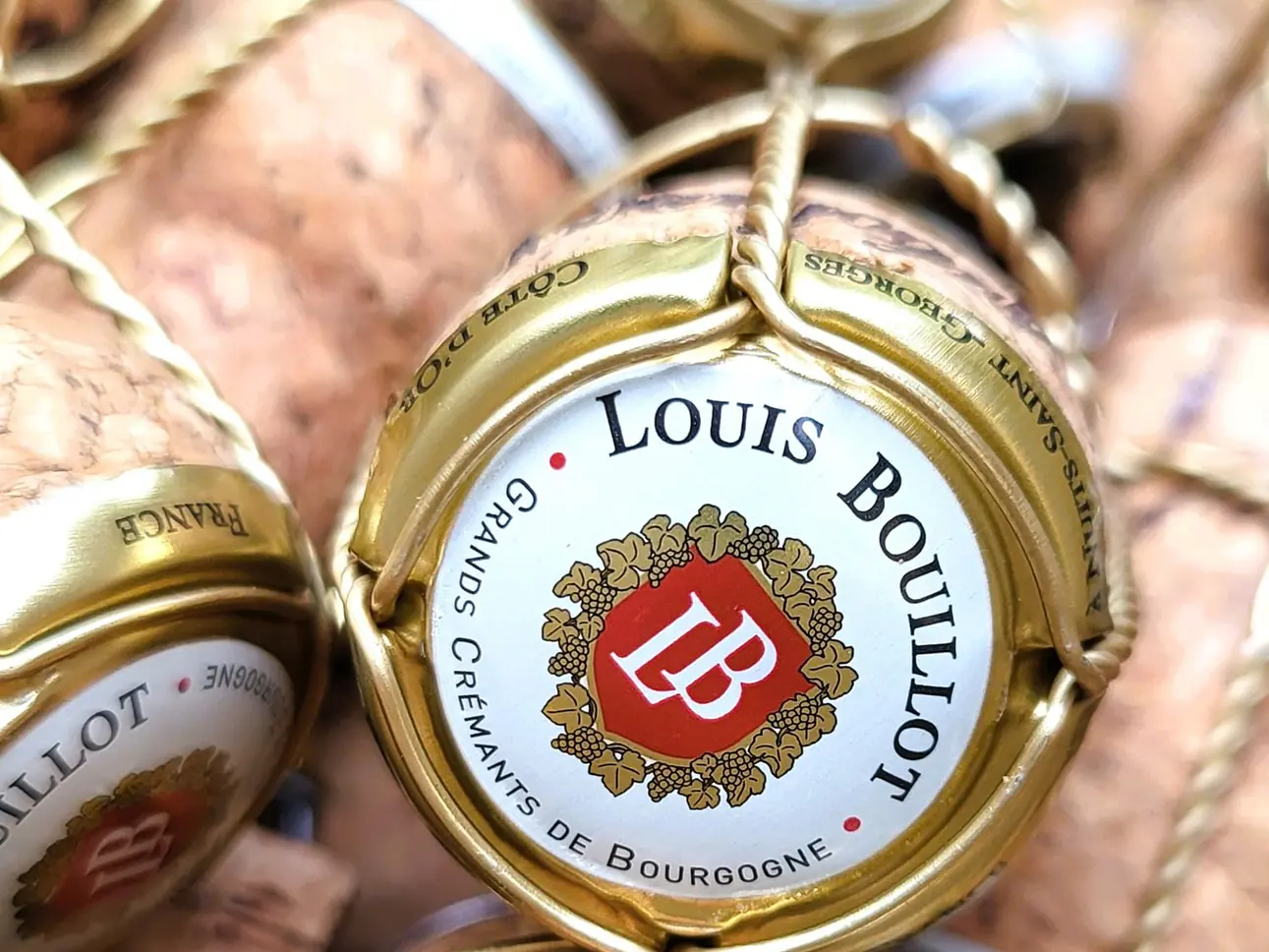 Louis Bouillot, Nuits-Saint-Georges