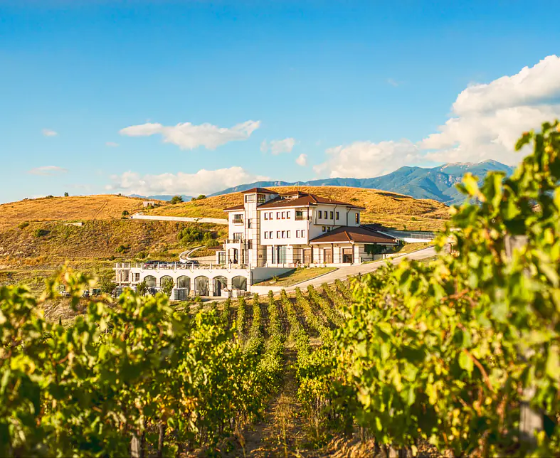 Villa_Melnik_Part2_4 - Copy.jpg