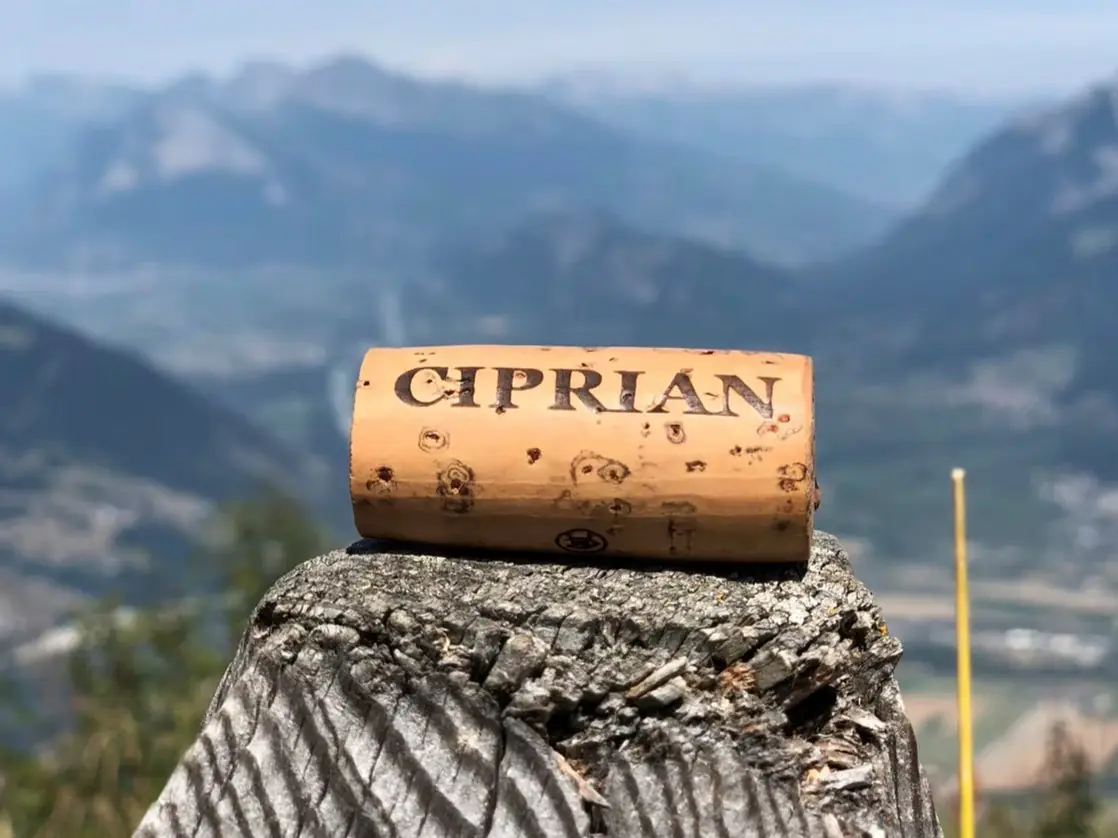 Rebbau Ciprian, Zizers