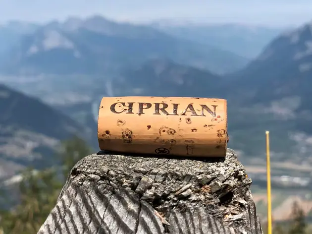 Rebbau Ciprian, Zizers