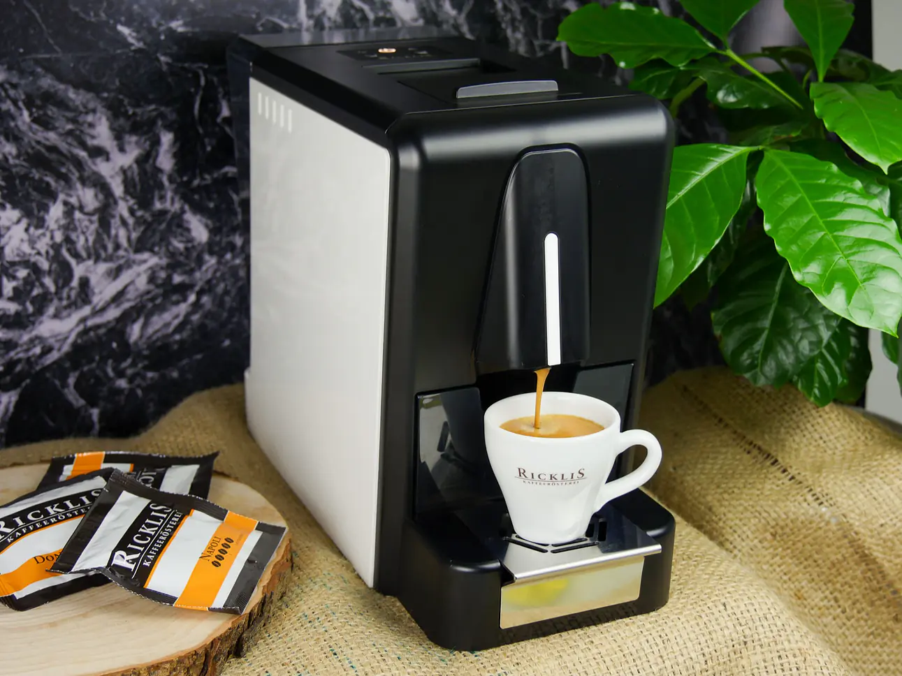 E.S.E. Barista Padmaschine